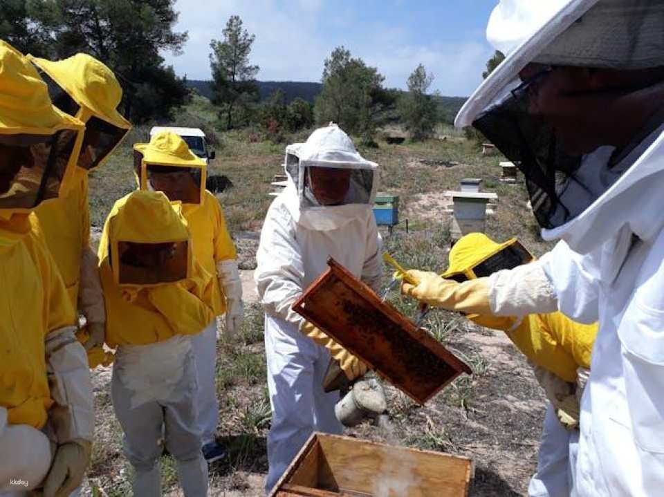 Beekeeping experience and honey-tasting in Menorca