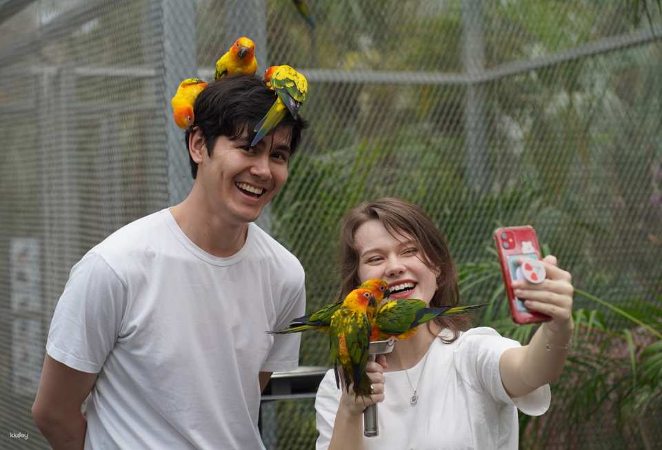 Begonia Bird Park (Bird, Garden, Animals) Gapyeong, Gyeonggi-do