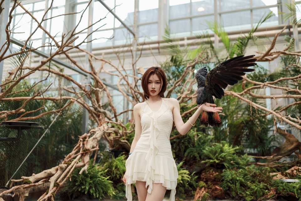 Begonia Bird Park (Bird, Garden, Animals) Gapyeong, Gyeonggi-do