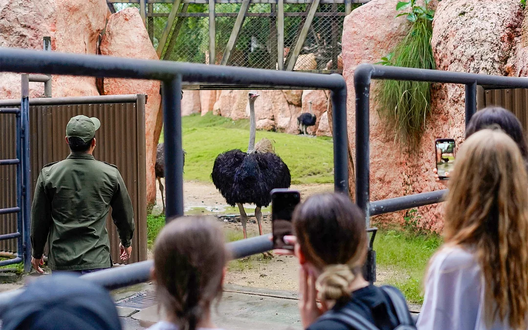 Behind Closed Doors at Bali Zoo Image 1