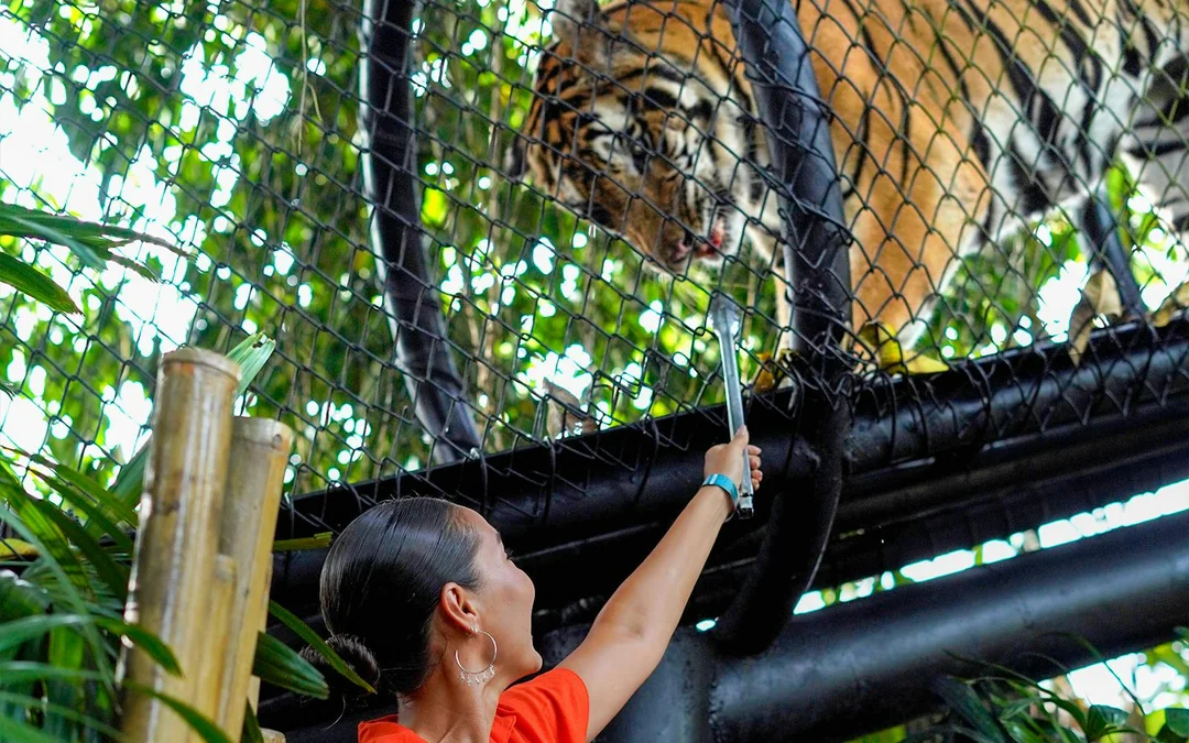  Behind Closed Doors at Bali Zoo Image 4