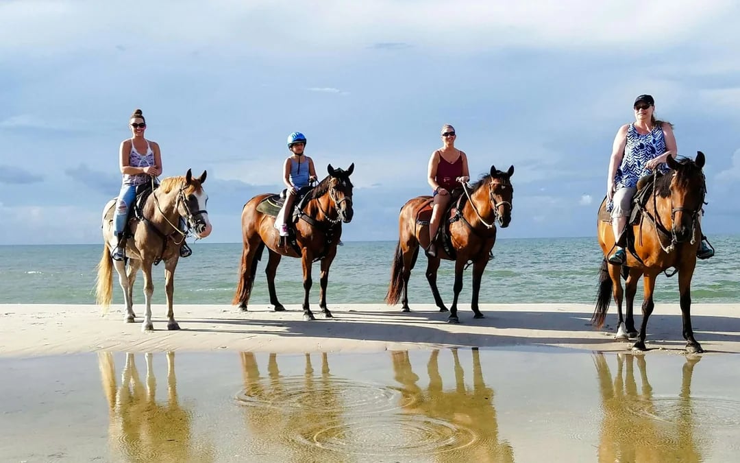 Belek Horse Riding with Transfers and Pony Option Image 2