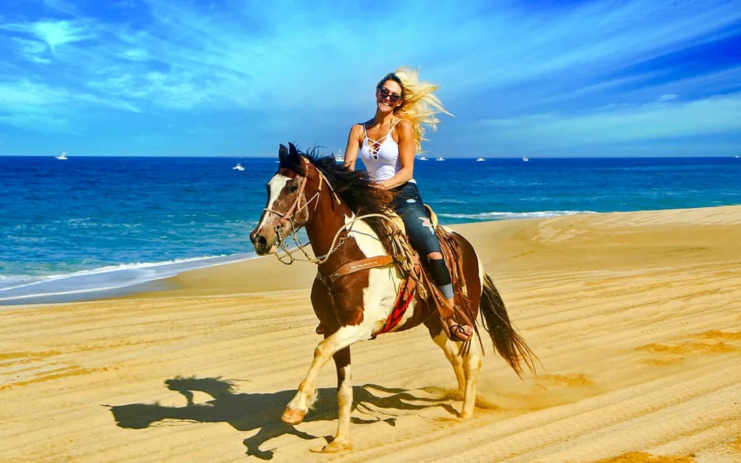 Belek Horse Riding with Transfers and Pony Option Image 3