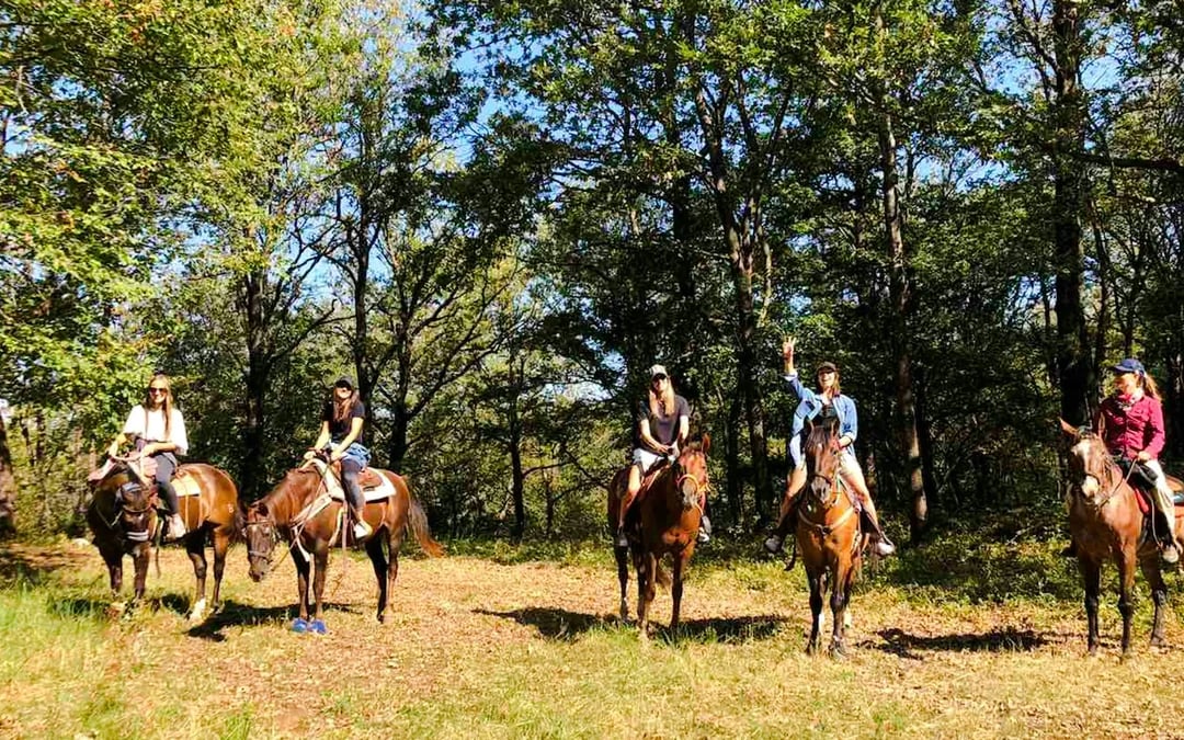 Belek Horse Riding with Transfers and Pony Option Image 5