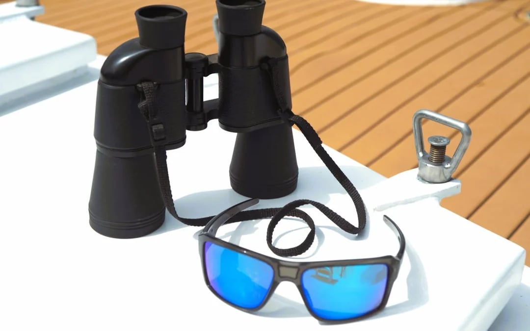 Benalmádena Dolphin-Watching Small-Group Cruise on Salacia with Snorkeling, Paddle Surf, and Unlimited Snacks and Drinks Image 4