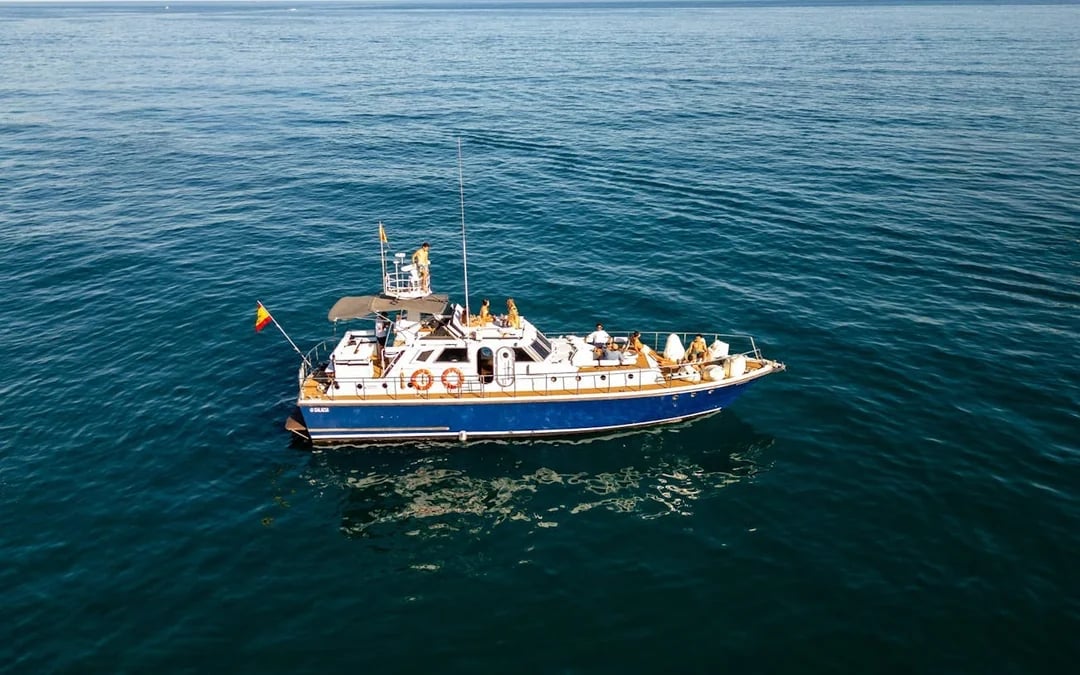 Benalmádena Dolphin-Watching Small-Group Cruise on Salacia with Snorkeling, Paddle Surf, and Unlimited Snacks and Drinks Image 6