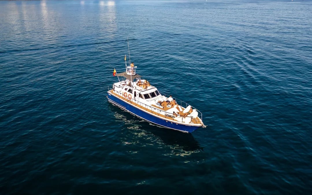 Benalmádena Dolphin-Watching Small-Group Cruise on Salacia with Snorkeling, Paddle Surf, and Unlimited Snacks and Drinks Image 8