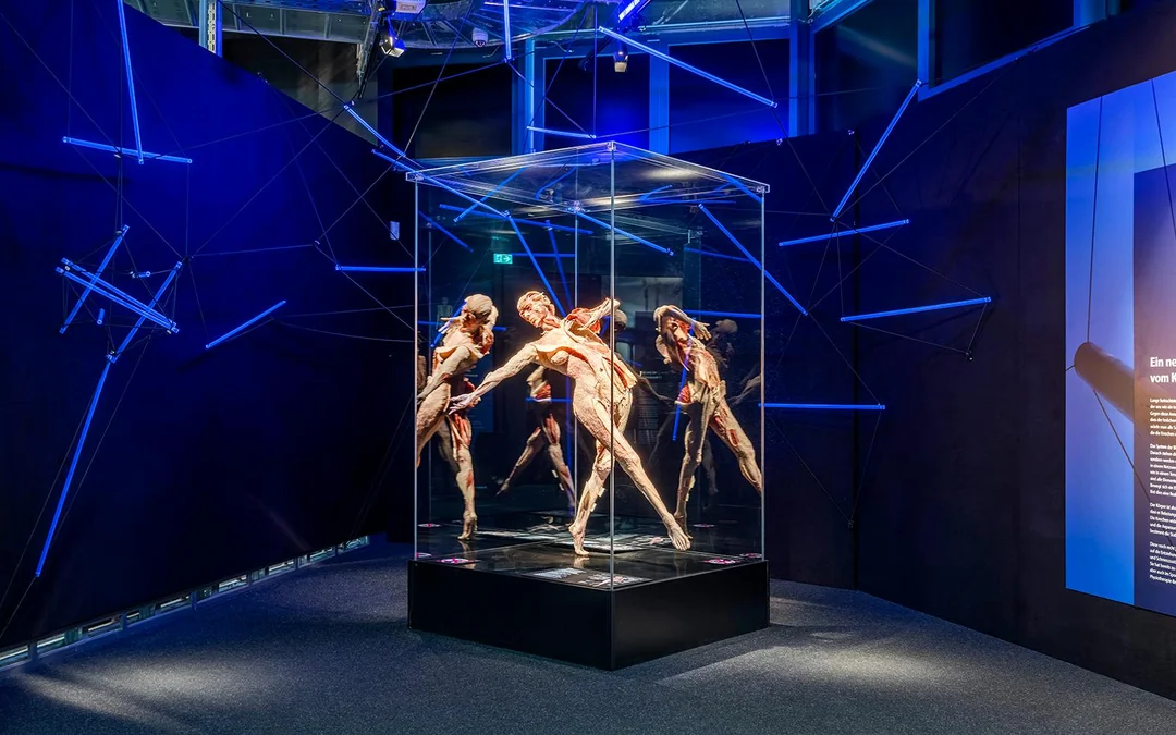 Berlin BODY WORLDS Museum Tickets Image 2