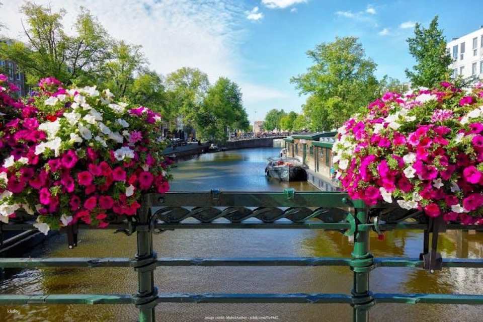 Best of Amsterdam private half-day tour with canal cruise tickets