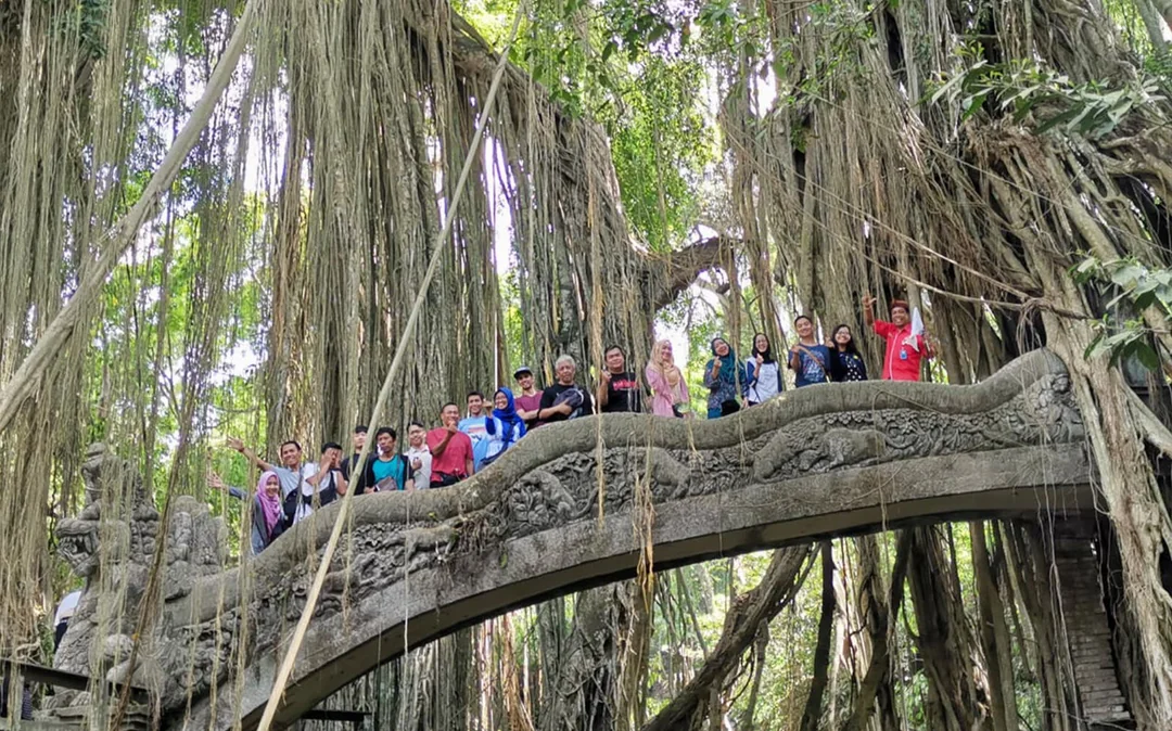 Best Ubud Tour: Monkey forest, Rice Terrace & Waterfall Image 2