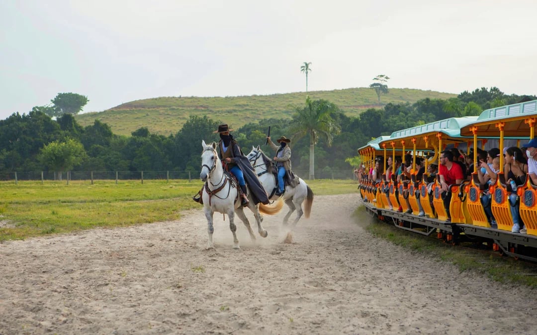 Beto Carrero World 1-Day Pass Image 8