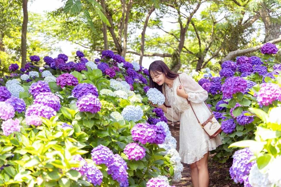 [Jeju] Bicheollin Theme Park