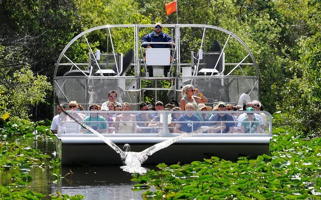 Big Bus: Miami Hop-On Hop-Off Bus Tour with Optional Boat Cruise & Night Tour Image 4
