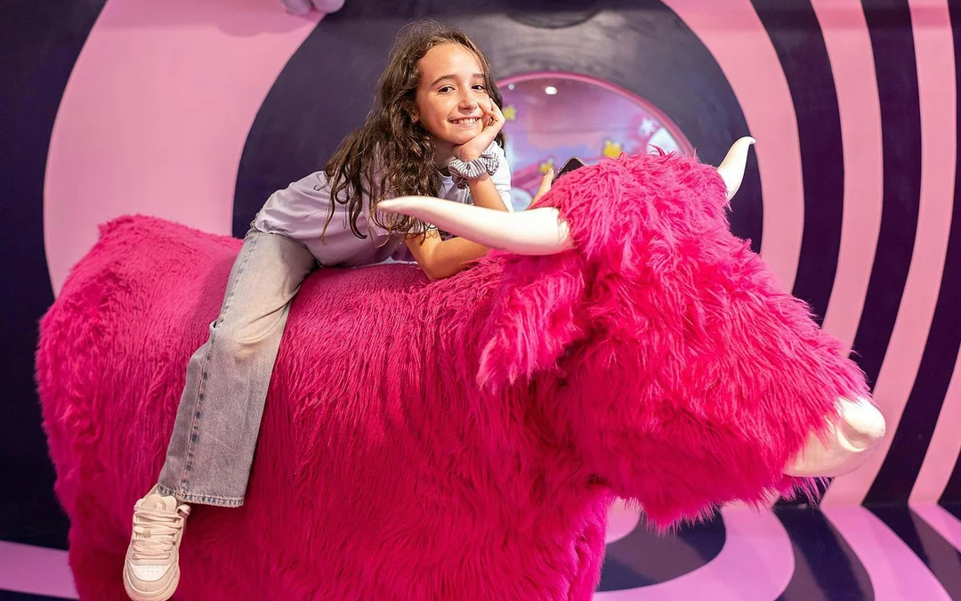 Big Fun Museum & Museum of Illusions Experience Image 2