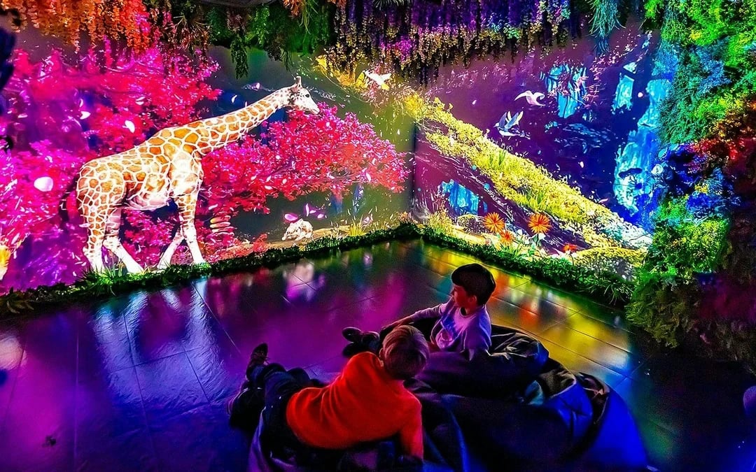 Big Fun Museum Image 4