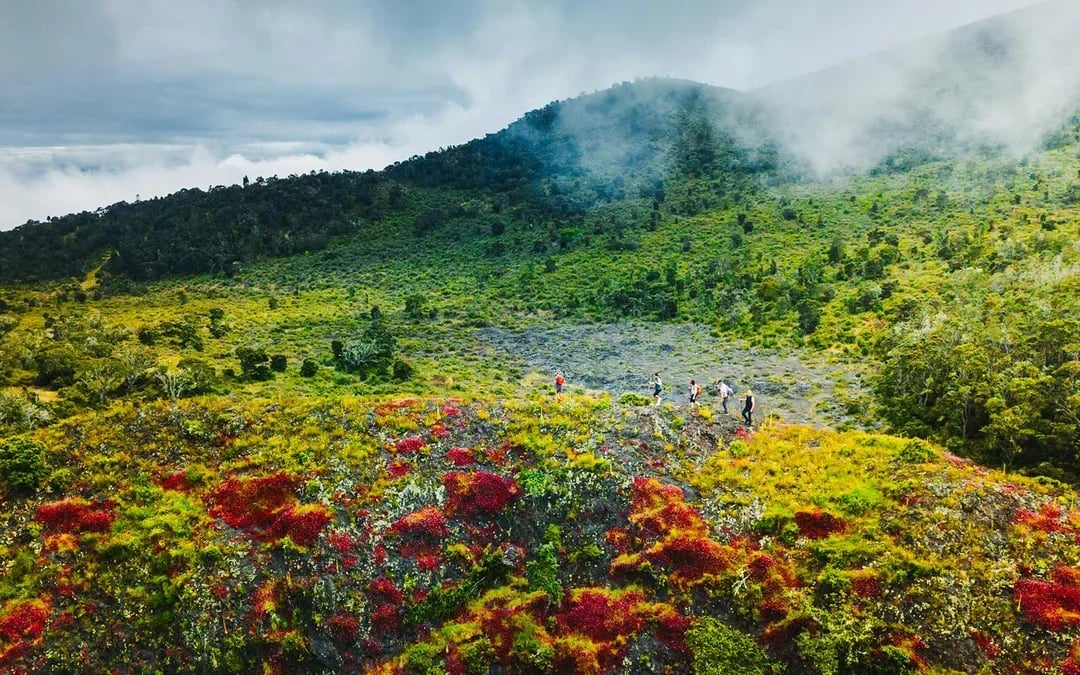 Big Island: Hidden Craters Hike Image 2