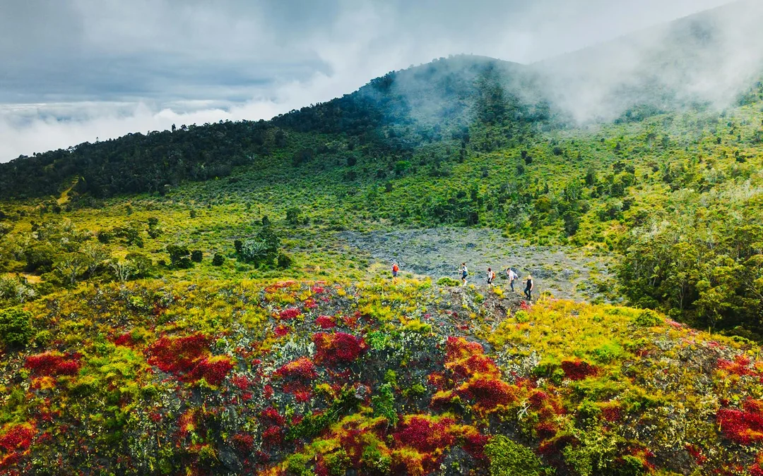 Big Island: Hidden Craters Hike Image 2