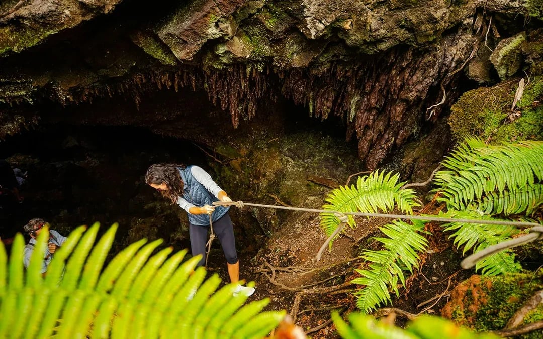 Big Island: Hidden Craters Hike Image 3