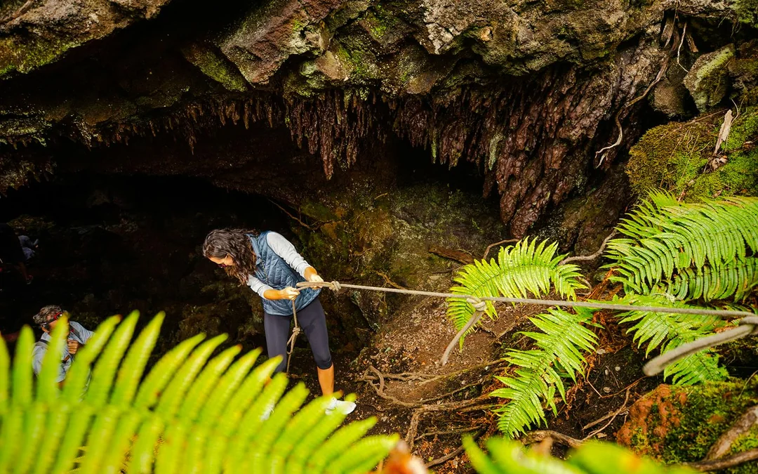 Big Island: Hidden Craters Hike Image 3