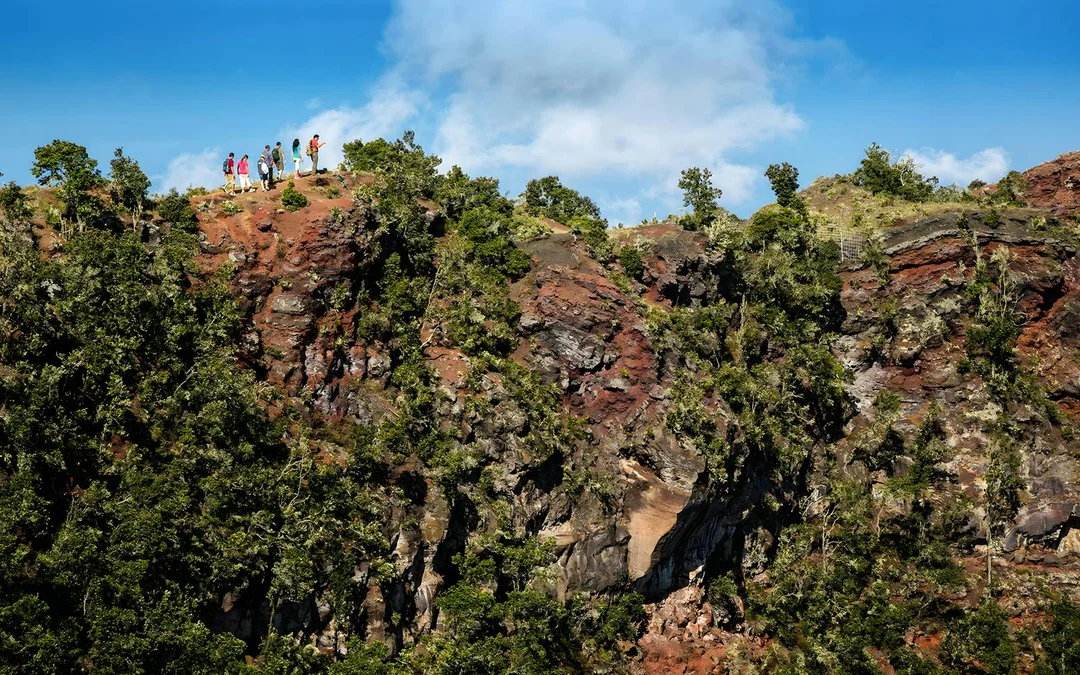 Big Island: Hidden Craters Hike Image 7