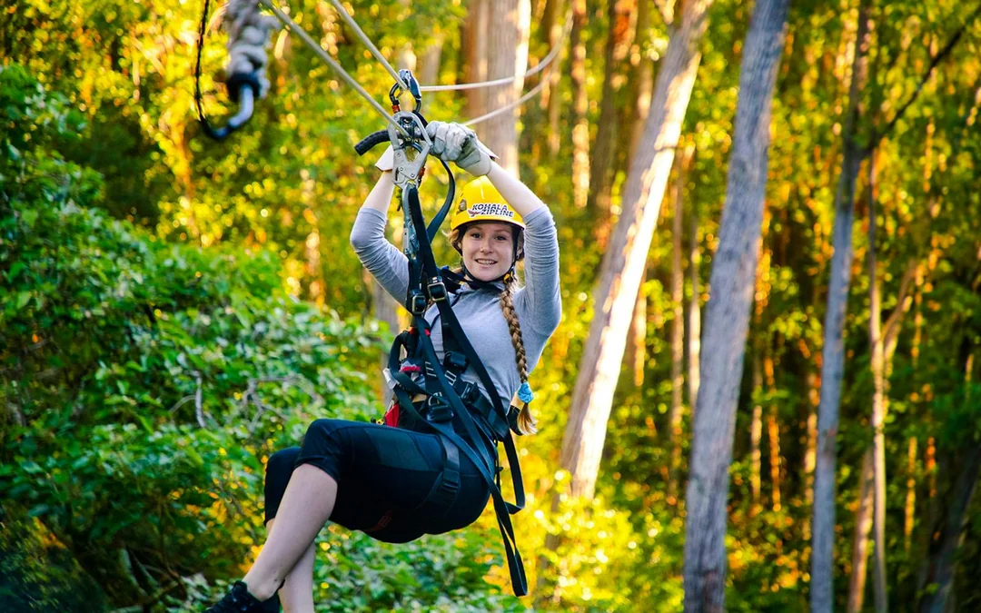Big Island: Kohala Canopy Zipline Tickets Image 1
