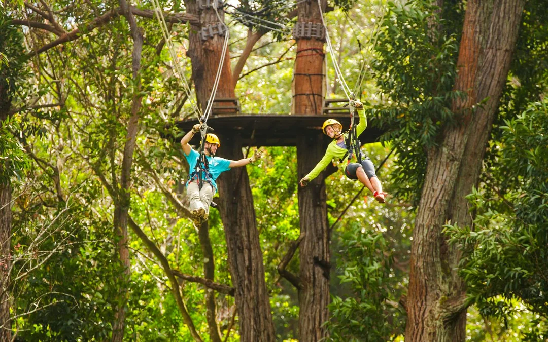Big Island: Kohala Canopy Zipline Tickets Image 4