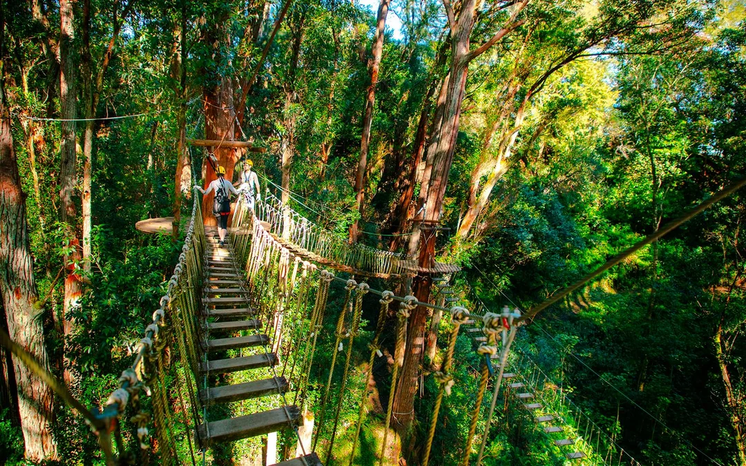 Big Island: Kohala Canopy Zipline Tickets Image 5