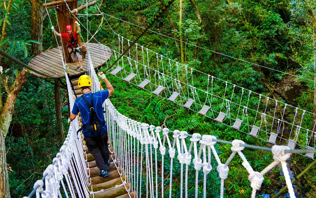 Big Island: Kohala Canopy Zipline Tickets Image 8