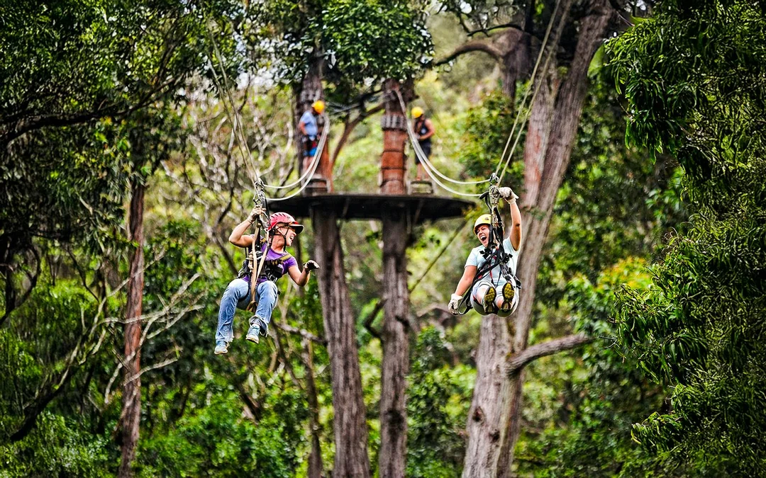 Big Island: Kohala Waterfalls and Canopy Zip & Dip Tour Image 1