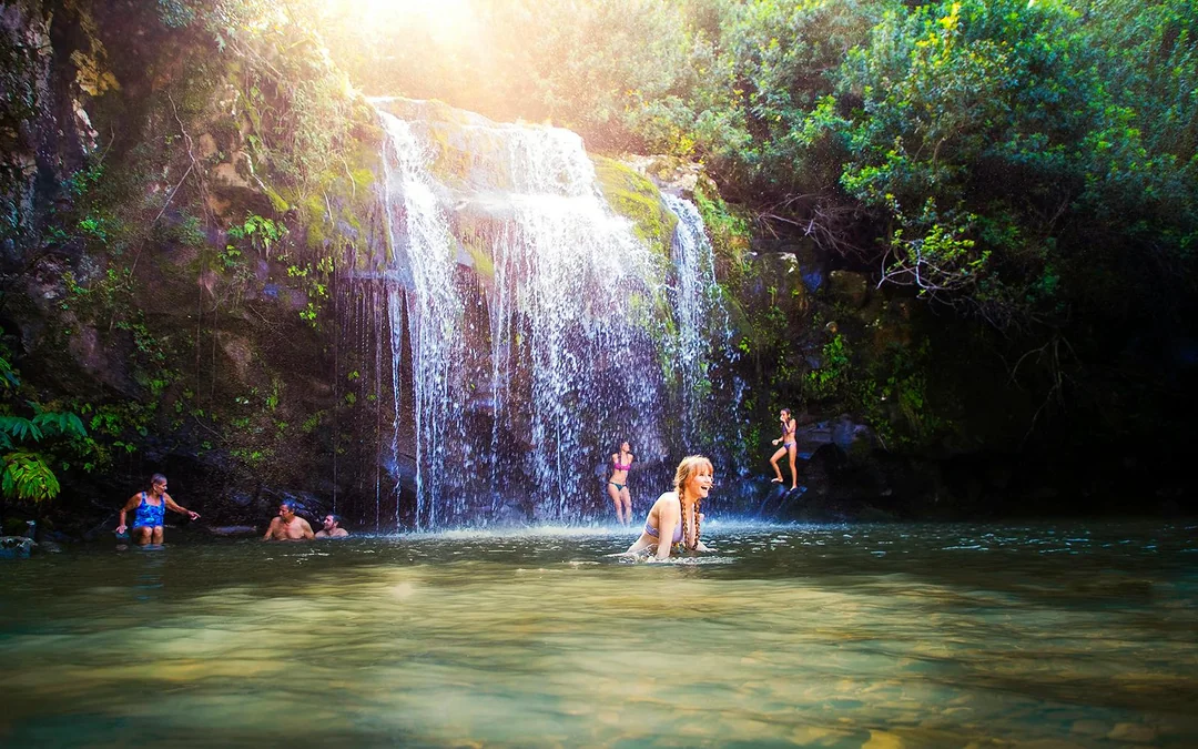 Big Island: Kohala Waterfalls and Canopy Zip & Dip Tour Image 2