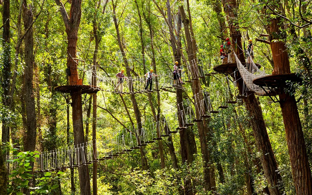 Big Island: Kohala Waterfalls and Canopy Zip & Dip Tour Image 3