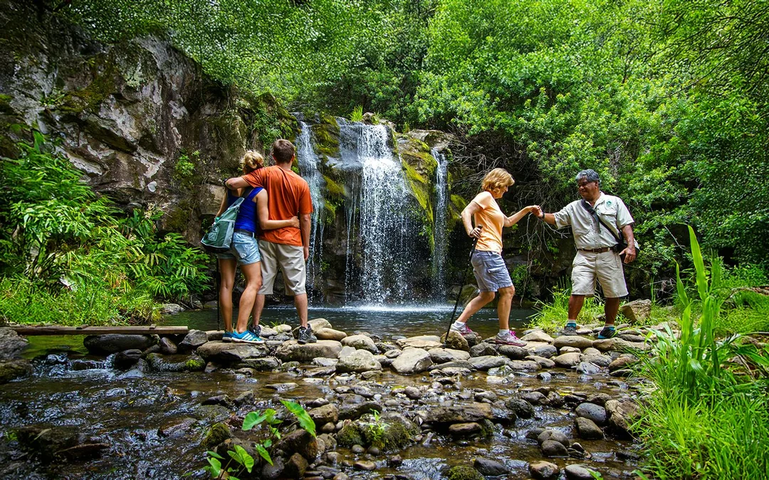 Big Island: Kohala Waterfalls and Canopy Zip & Dip Tour Image 4