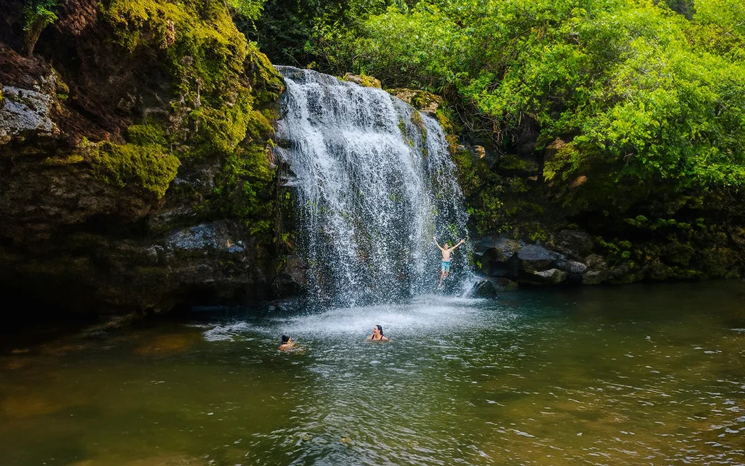Big Island: Kohala Waterfalls and Canopy Zip & Dip Tour Image 5