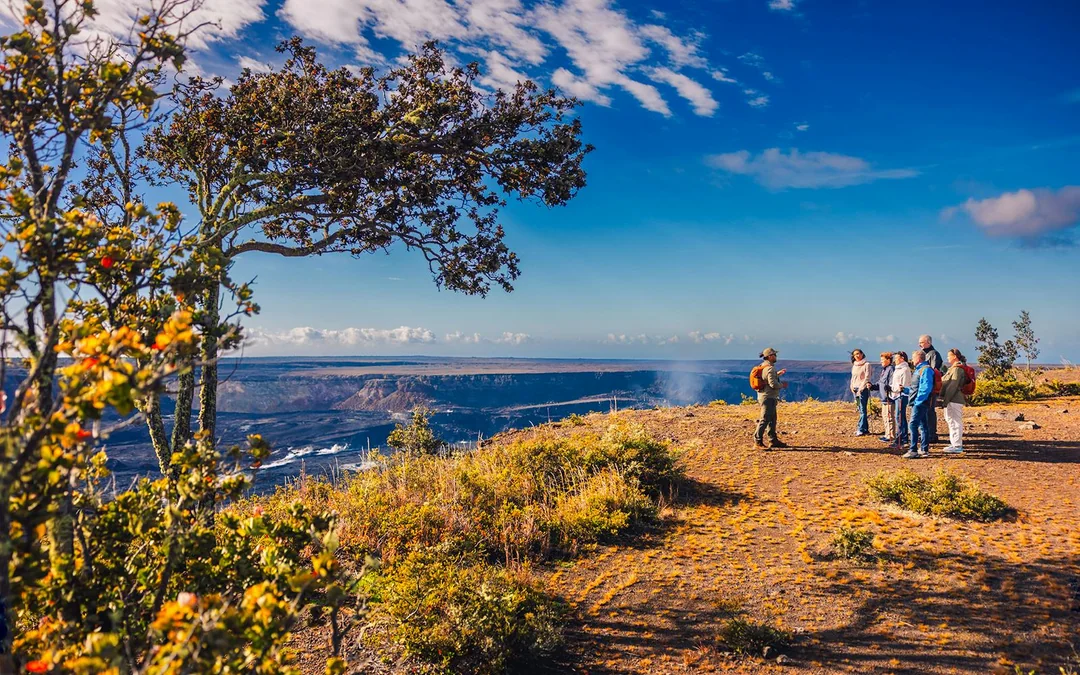 Big Island: Volcano, Chocolate & Waterfall Tour Image 4