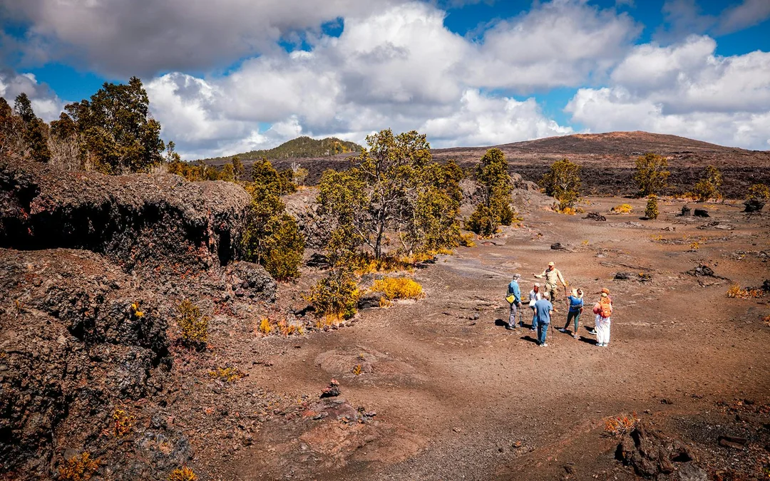 Big Island: Volcano, Chocolate & Waterfall Tour Image 5
