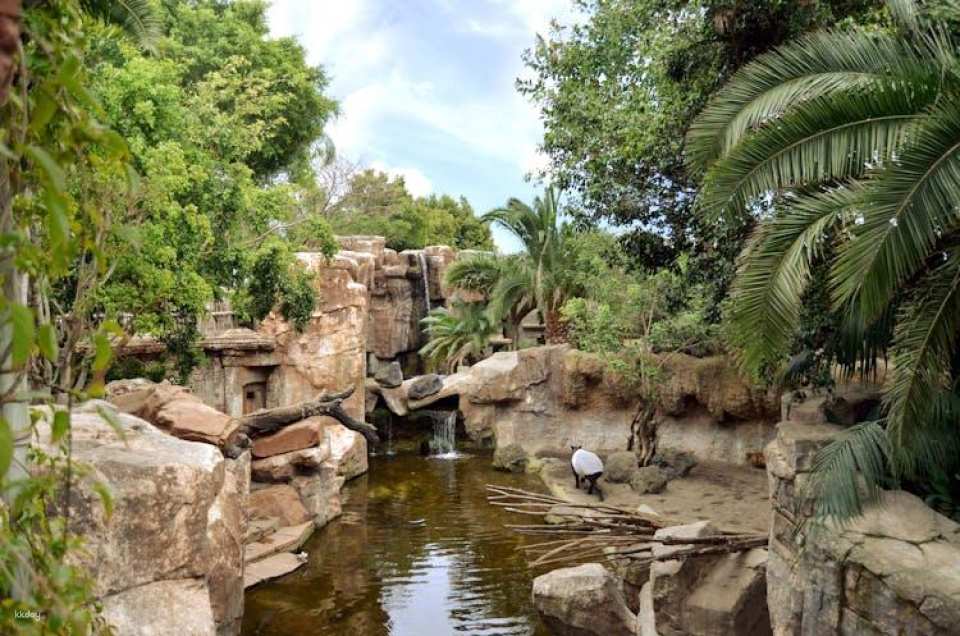 Bioparc Fuengirola