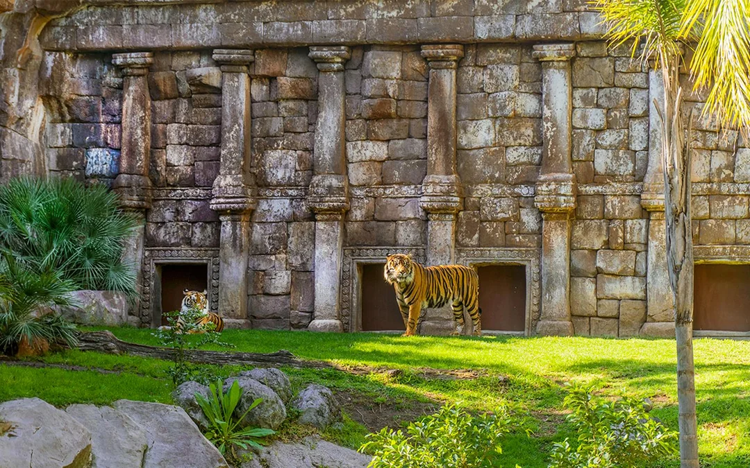 Bioparc Fuengirola Tickets Image 2