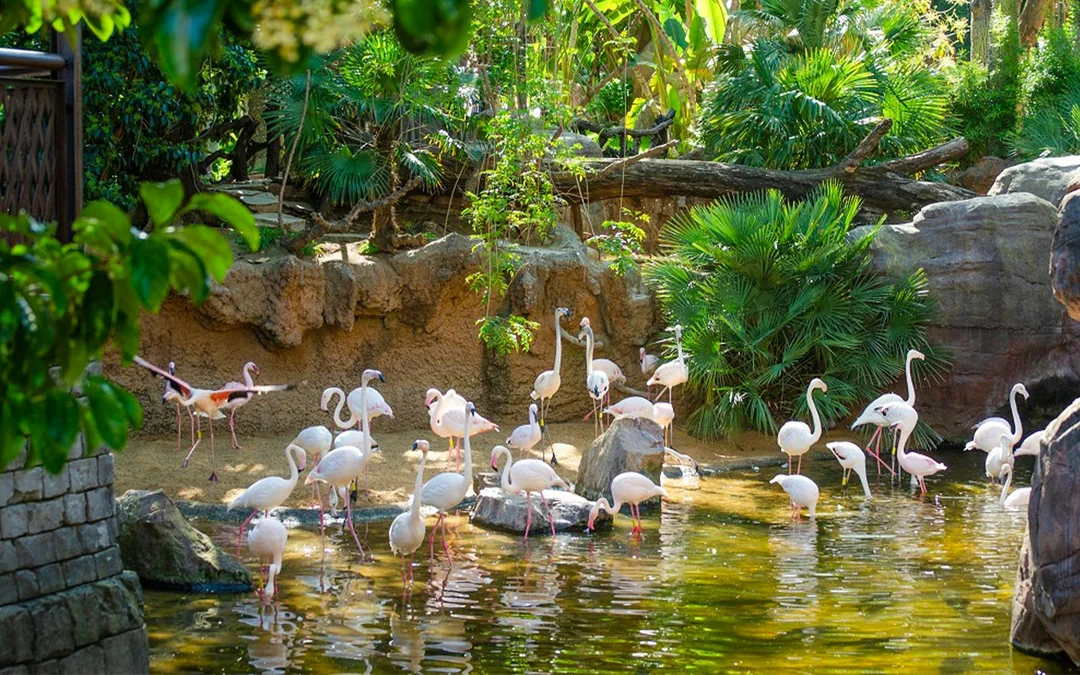 Bioparc Fuengirola Tickets Image 3