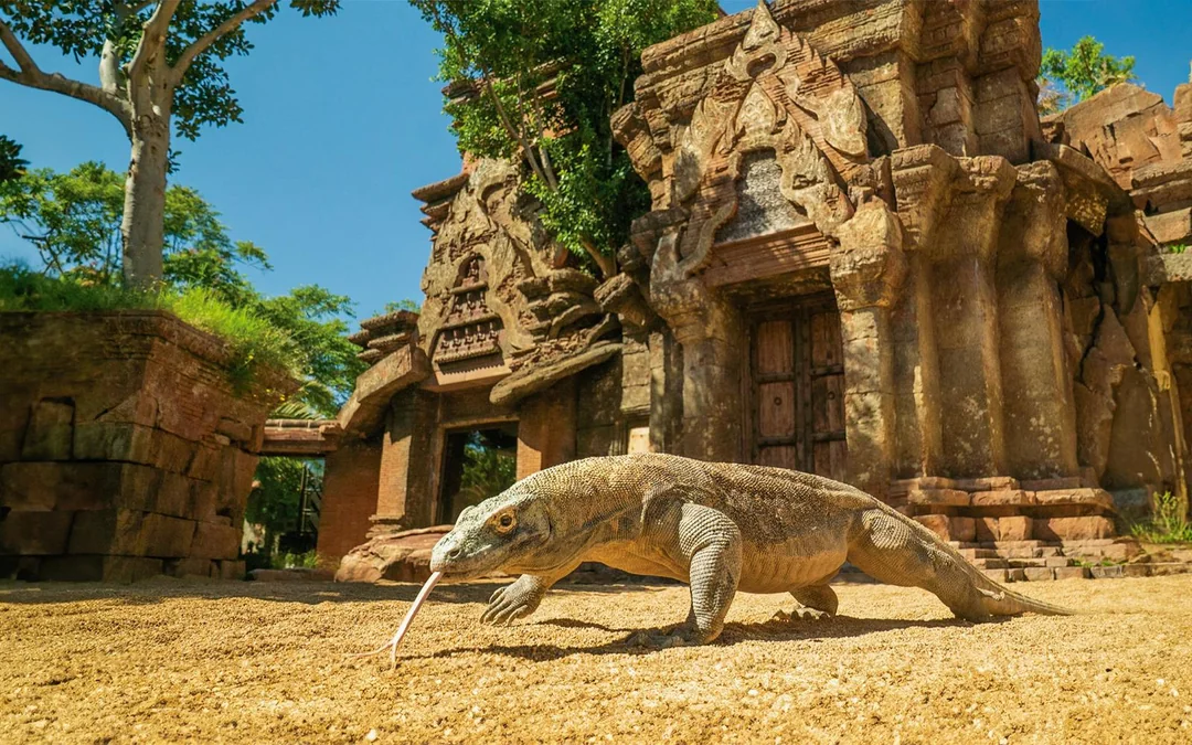 Bioparc Fuengirola Tickets Image 4
