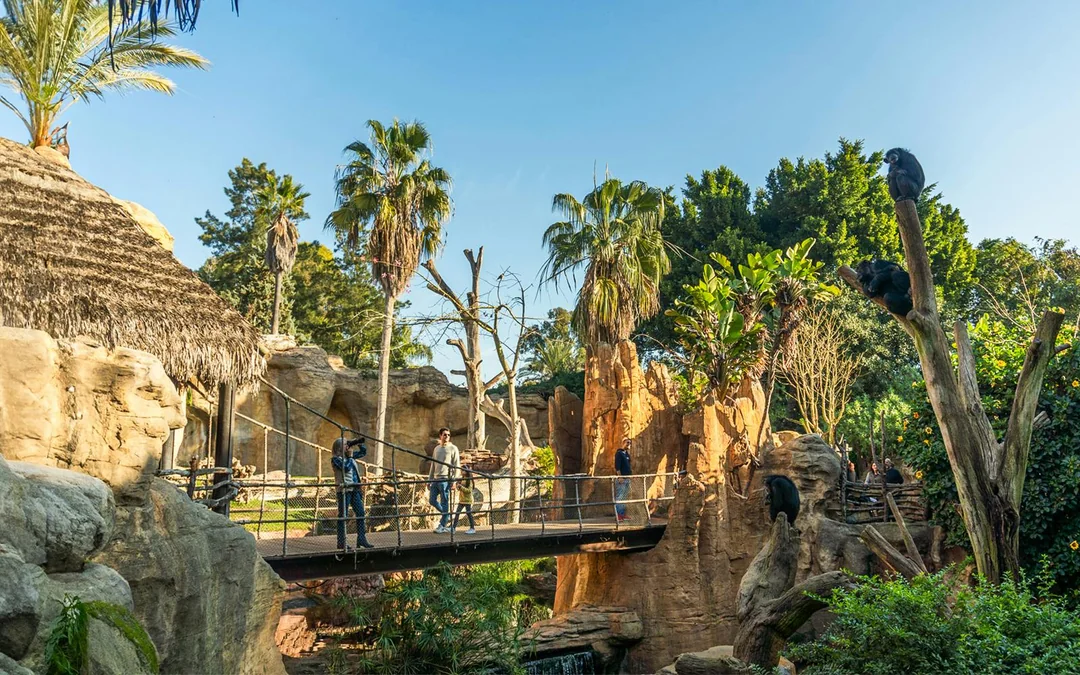 Bioparc Fuengirola Tickets Image 5