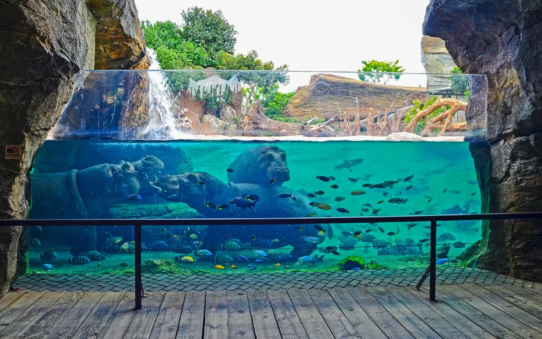Bioparc Valencia Tickets Image 5