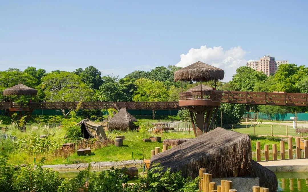 BioParque do Rio Entry Ticket Image 2