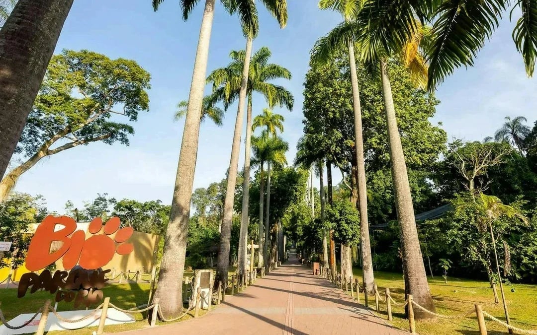 BioParque do Rio Entry Ticket Image 5