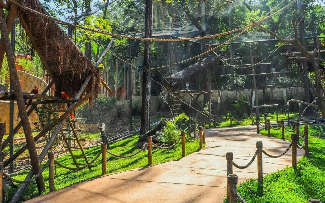 BioParque do Rio Entry Ticket Image 6