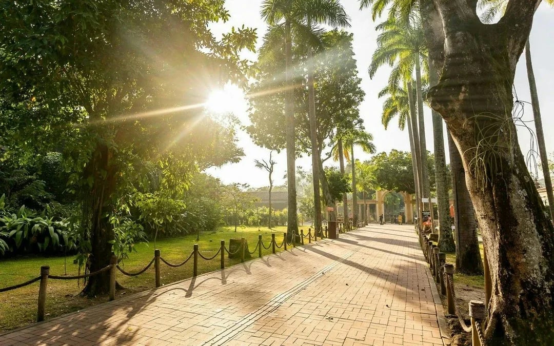 BioParque do Rio Entry Ticket Image 9