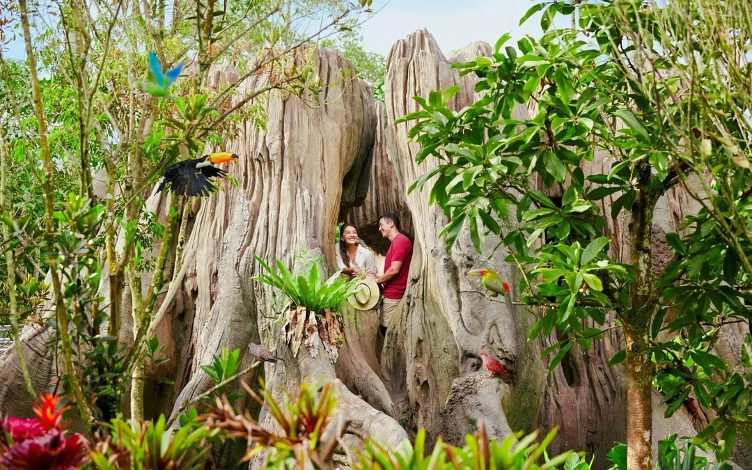 Bird Paradise Tickets | Mandai Wildlife Reserve Image 6