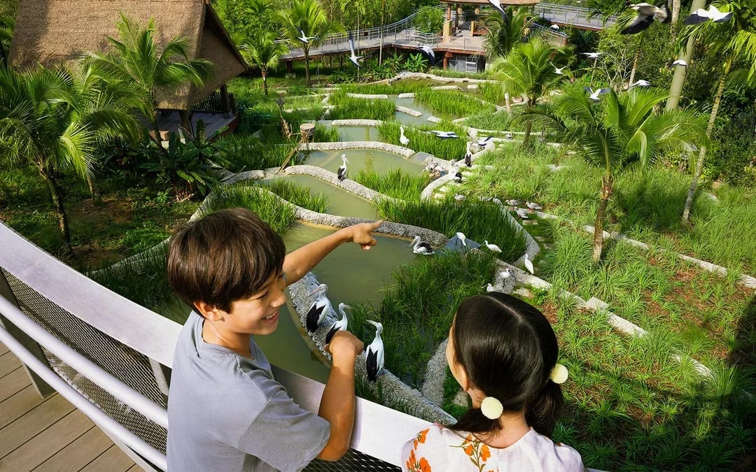 Bird Paradise Tickets | Mandai Wildlife Reserve Image 7