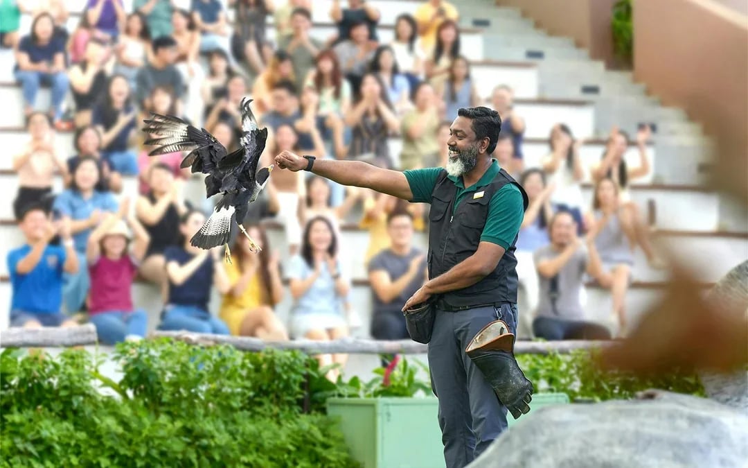 Bird Paradise Tickets | Mandai Wildlife Reserve Image 8