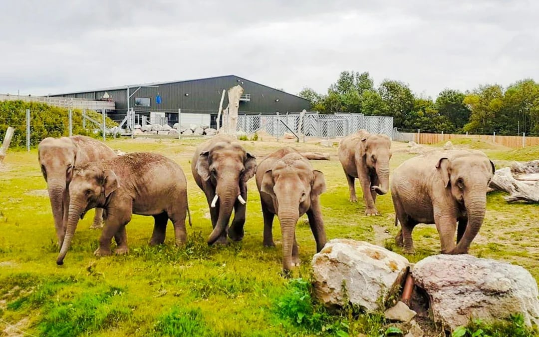 Blackpool Zoo Entry Ticket Image 2