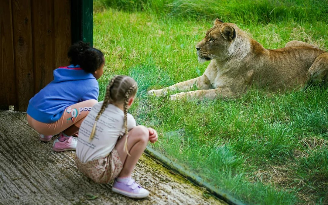 Blackpool Zoo Entry Ticket Image 3